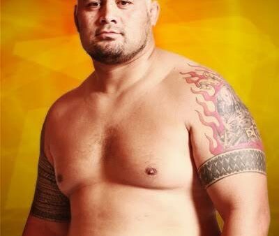 道上塾長の昔話104〜ドラえもんの顔をしたマークハント