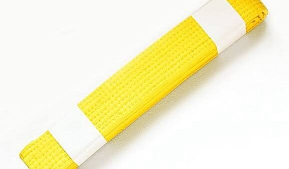 道上塾長の昔話180〜そして黄帯