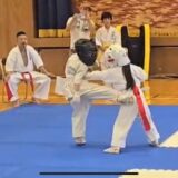 わんぱくカップ