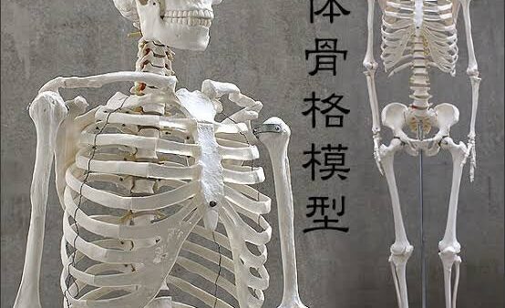 道上塾長の昔話60〜初めての骨折