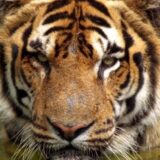 道上塾長の昔話66〜俺はもう死んでいる