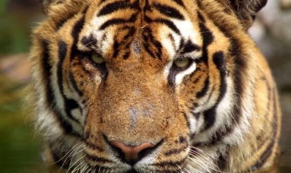 道上塾長の昔話66〜俺はもう死んでいる