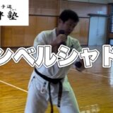 ダンベルシャドーの動画を配信しました