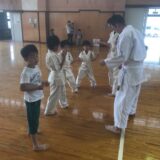 沢山仲間が増えてきました