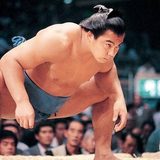 夢の大相撲