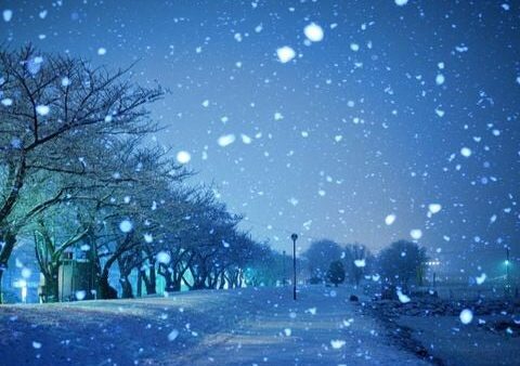 雪と花粉
